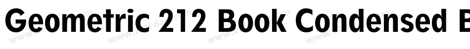 Geometric 212 Book Condensed BT字体转换